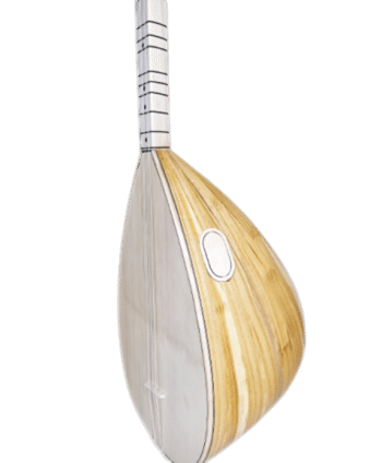 41 Tekne Solak Dut Tam...