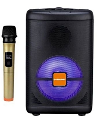 DS-08 Telsizli 8" Ses...