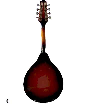 Sanchez Mandolin MDL11