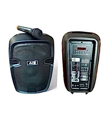 ACE AUDIO PAQ-10 120 WATT...