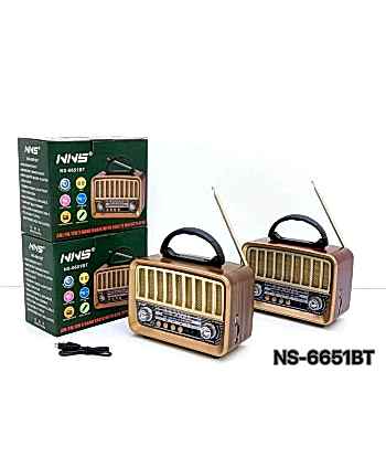 Ns-6651BT Taşınabilir...