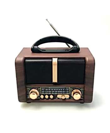 Ns-8107bt Taşınabilir...